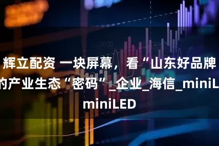 辉立配资 一块屏幕，看“山东好品牌”的产业生态“密码”_企业_海信_miniLED