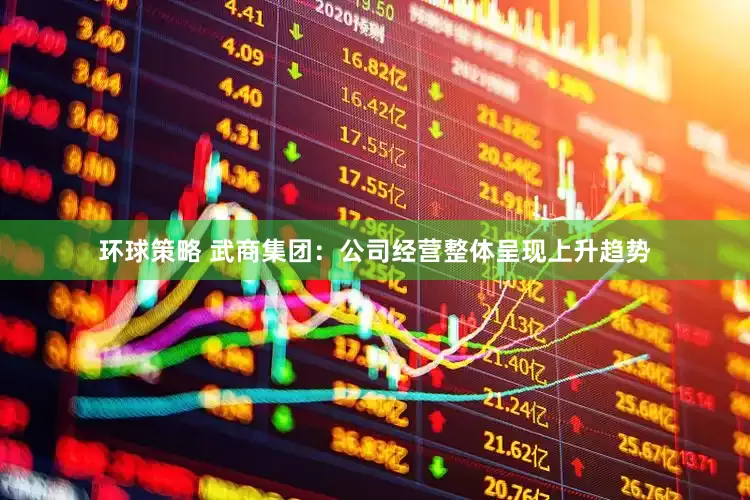 环球策略 武商集团：公司经营整体呈现上升趋势