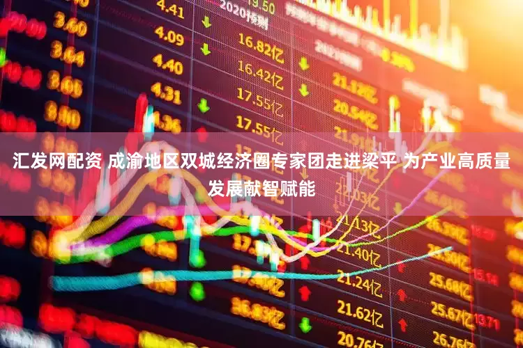 汇发网配资 成渝地区双城经济圈专家团走进梁平 为产业高质量发展献智赋能