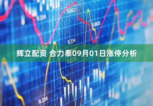 辉立配资 合力泰09月01日涨停分析