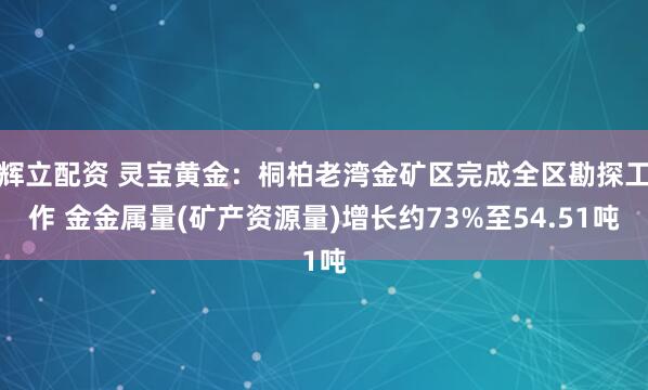 辉立配资 灵宝黄金：桐柏老湾金矿区完成全区勘探工作 金金属量(矿产资源量)增长约73%至54.51吨